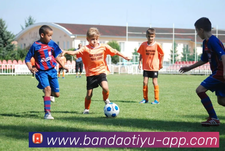 半岛体育APP 体育赛事宣传图